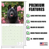 Schipperke Wall Calendar 2027 - 12" x 12" Monthly Curious & Energetic Schipperke Dog Breed Calendar