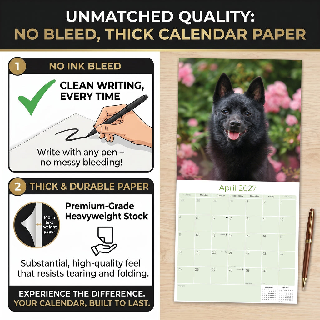 Schipperke Wall Calendar 2027 - 12" x 12" Monthly Curious & Energetic Schipperke Dog Breed Calendar