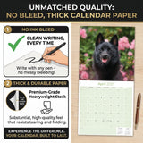 Schipperke Wall Calendar 2027 - 12" x 12" Monthly Curious & Energetic Schipperke Dog Breed Calendar
