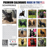 Schipperke Wall Calendar 2027 - 12" x 12" Monthly Curious & Energetic Schipperke Dog Breed Calendar
