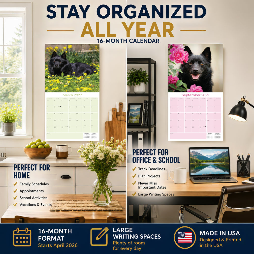 Schipperke Wall Calendar 2027 - 12" x 12" Monthly Curious & Energetic Schipperke Dog Breed Calendar