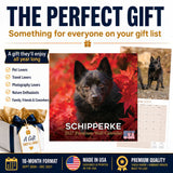Schipperke Wall Calendar 2027 - 12" x 12" Monthly Curious & Energetic Schipperke Dog Breed Calendar