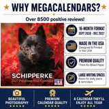 Schipperke Wall Calendar 2027 - 12" x 12" Monthly Curious & Energetic Schipperke Dog Breed Calendar
