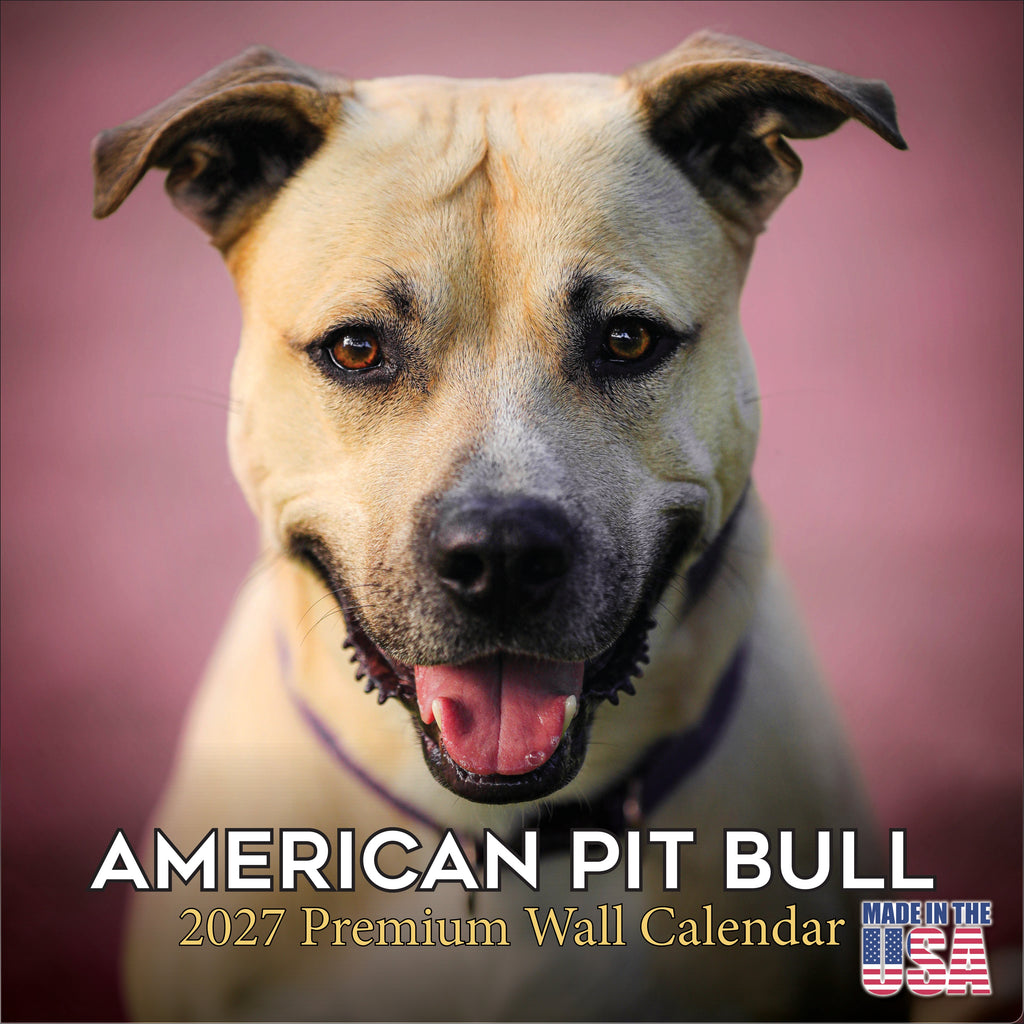 American Pit Bull Terrier Wall Calendar 2027 - 12" x 12" Monthly Athletic & Devoted Pitbull Breed Calendar