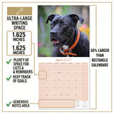 American Pit Bull Terrier Wall Calendar 2027 - 12" x 12" Monthly Athletic & Devoted Pitbull Breed Calendar