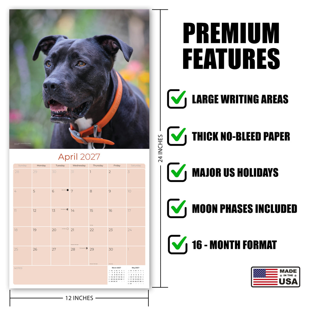 American Pit Bull Terrier Wall Calendar 2027 - 12" x 12" Monthly Athletic & Devoted Pitbull Breed Calendar