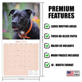 American Pit Bull Terrier Wall Calendar 2027 - 12" x 12" Monthly Athletic & Devoted Pitbull Breed Calendar