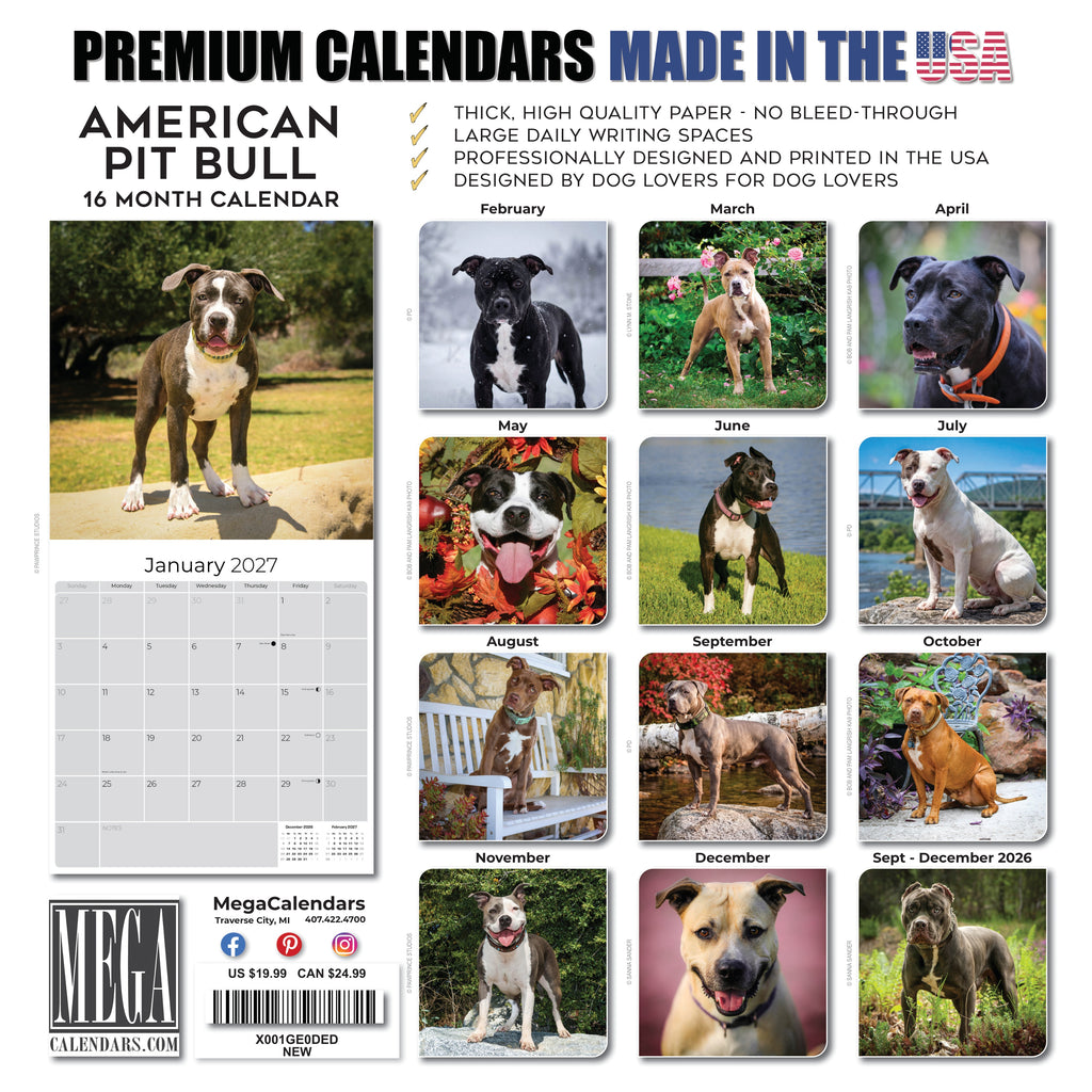 American Pit Bull Terrier Wall Calendar 2027 - 12" x 12" Monthly Athletic & Devoted Pitbull Breed Calendar