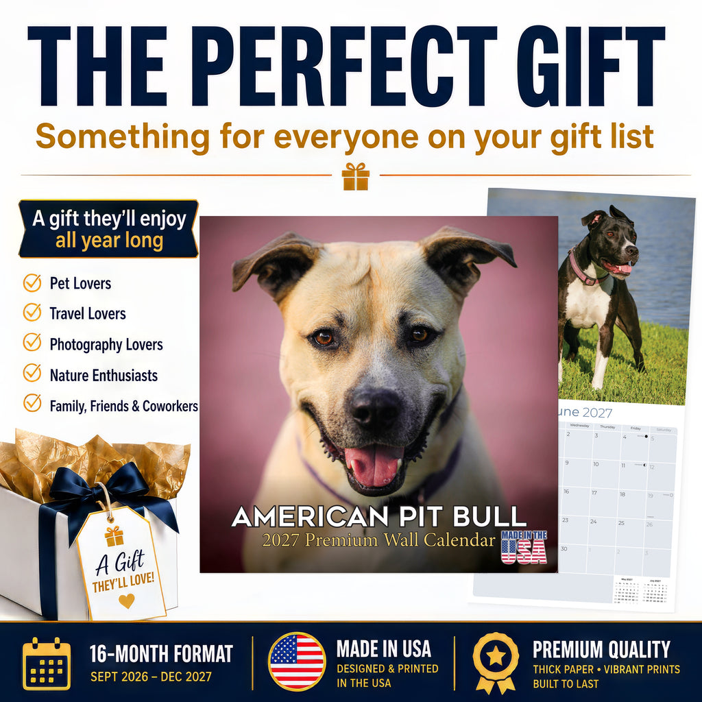 American Pit Bull Terrier Wall Calendar 2027 - 12" x 12" Monthly Athletic & Devoted Pitbull Breed Calendar