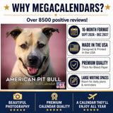 American Pit Bull Terrier Wall Calendar 2027 - 12" x 12" Monthly Athletic & Devoted Pitbull Breed Calendar