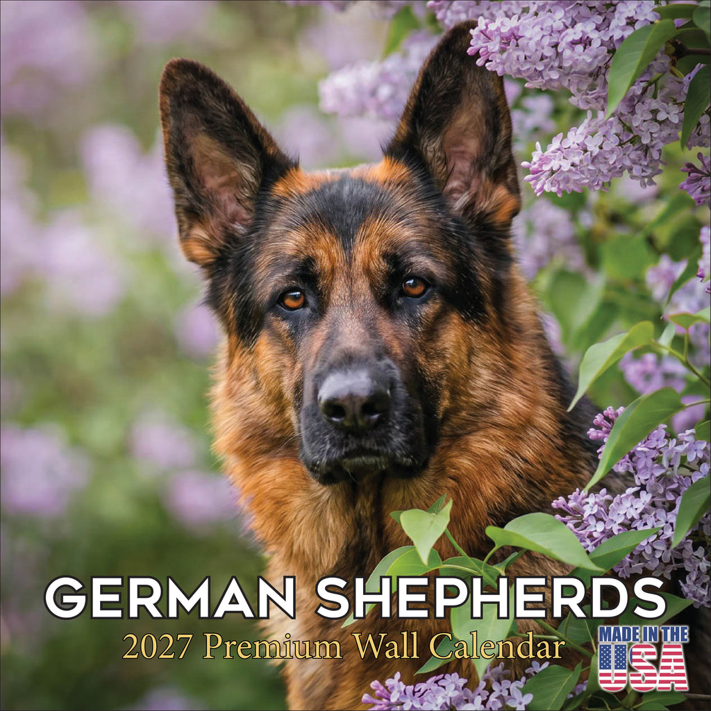 German Shepherd Wall Calendar 2027 - 12" x 12" Monthly Noble Guardian & Intelligent GSD Working Breed Calendar