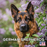 German Shepherd Wall Calendar 2027 - 12" x 12" Monthly Noble Guardian & Intelligent GSD Working Breed Calendar
