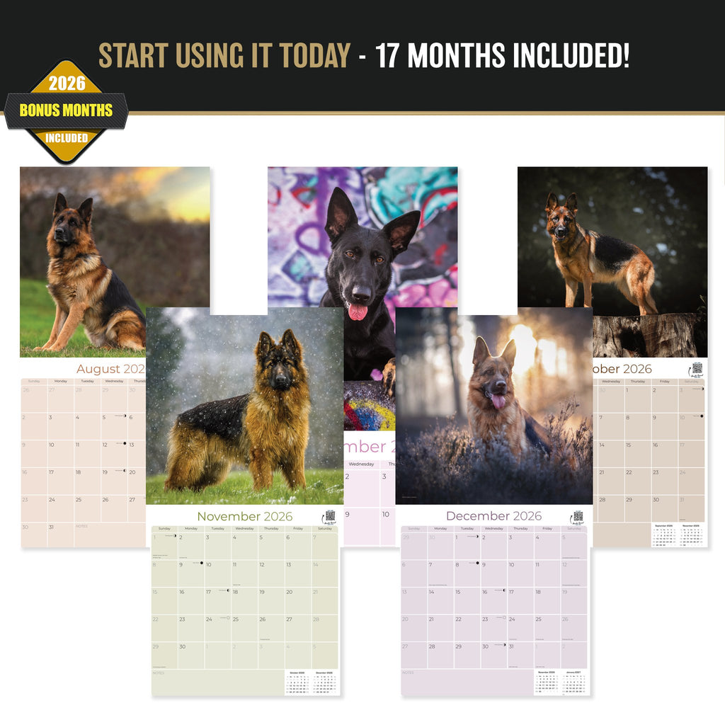 German Shepherd Wall Calendar 2027 - 12" x 12" Monthly Noble Guardian & Intelligent GSD Working Breed Calendar