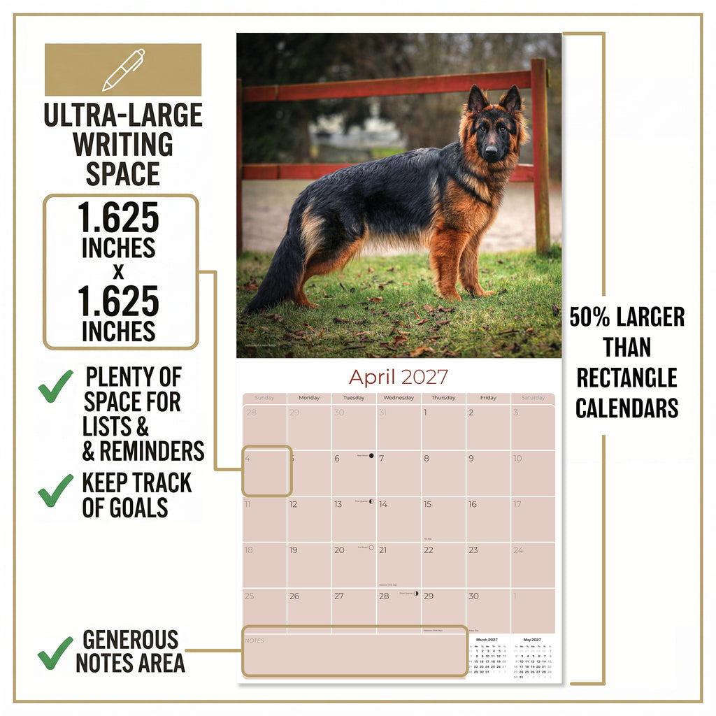 German Shepherd Wall Calendar 2027 - 12" x 12" Monthly Noble Guardian & Intelligent GSD Working Breed Calendar