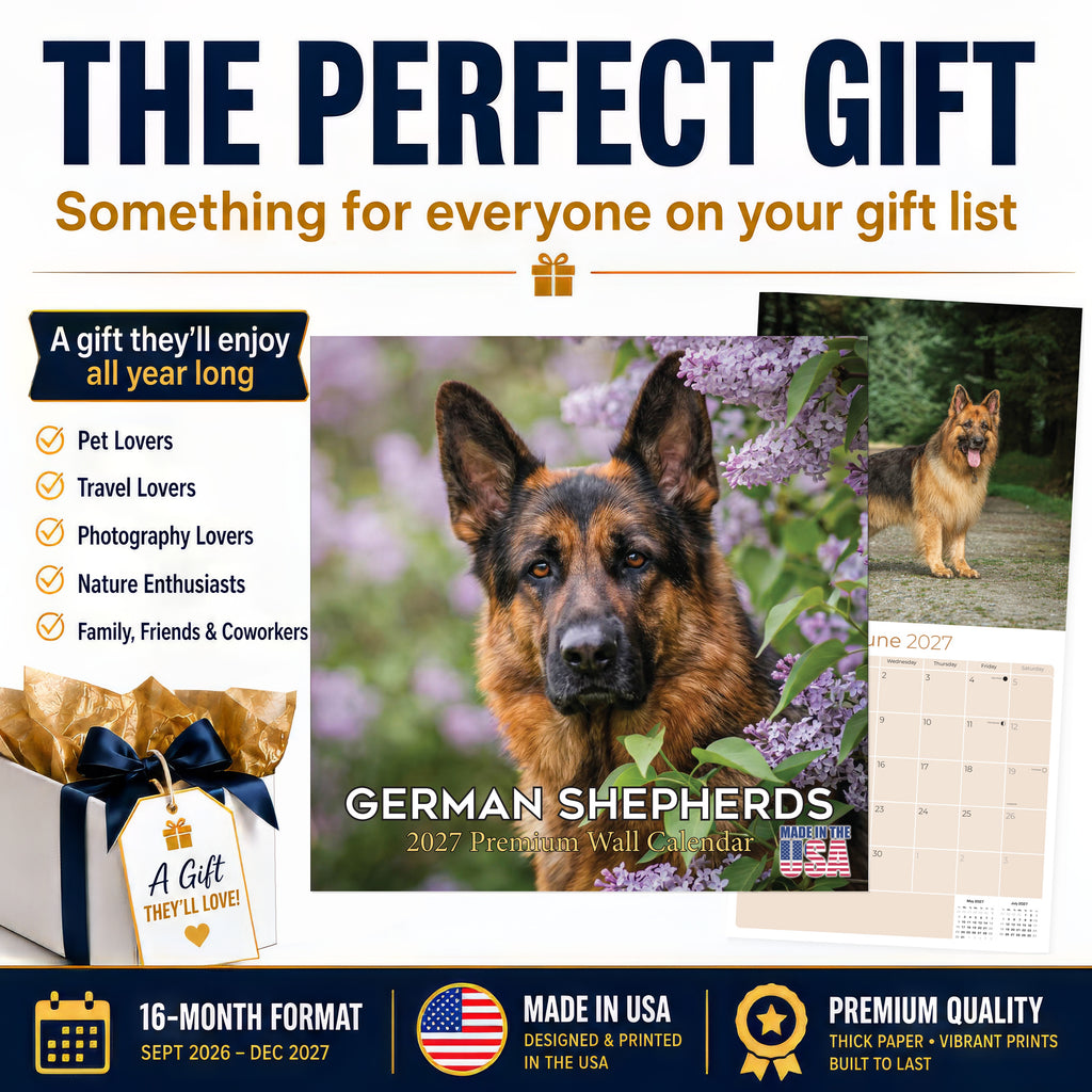 German Shepherd Wall Calendar 2027 - 12" x 12" Monthly Noble Guardian & Intelligent GSD Working Breed Calendar