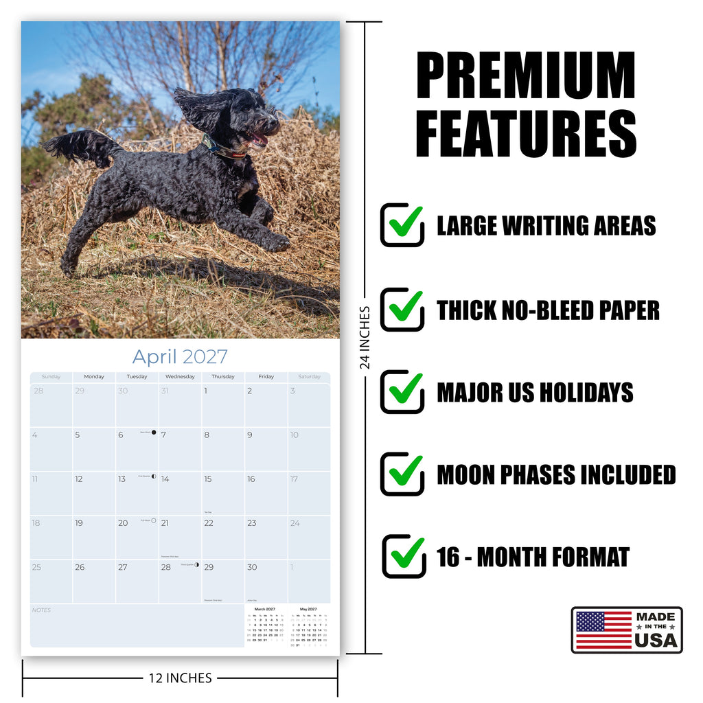 Cockapoo Wall Calendar 2027 - 12" x 12" Monthly Joyful & Affectionate Designer Cocker Poodle Calendar