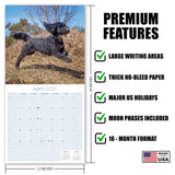 Cockapoo Wall Calendar 2027 - 12" x 12" Monthly Joyful & Affectionate Designer Cocker Poodle Calendar