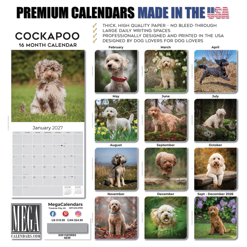 Cockapoo Wall Calendar 2027 - 12" x 12" Monthly Joyful & Affectionate Designer Cocker Poodle Calendar