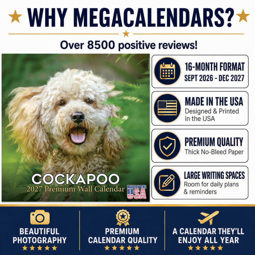 Cockapoo Wall Calendar 2027 - 12" x 12" Monthly Joyful & Affectionate Designer Cocker Poodle Calendar