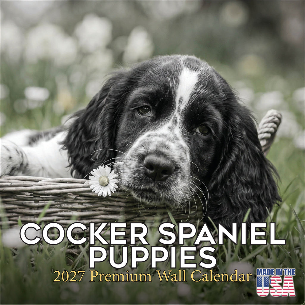Cocker Spaniel Puppies Wall Calendar 2027 - 12" x 12" Monthly Heartwarming Cocker Spaniel Puppy Breed Art Calendar