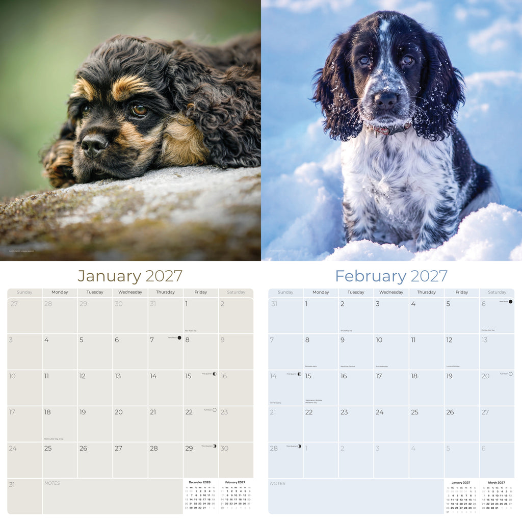Cocker Spaniel Puppies Wall Calendar 2027 - 12" x 12" Monthly Heartwarming Cocker Spaniel Puppy Breed Art Calendar