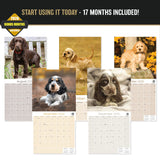 Cocker Spaniel Puppies Wall Calendar 2027 - 12" x 12" Monthly Heartwarming Cocker Spaniel Puppy Breed Art Calendar