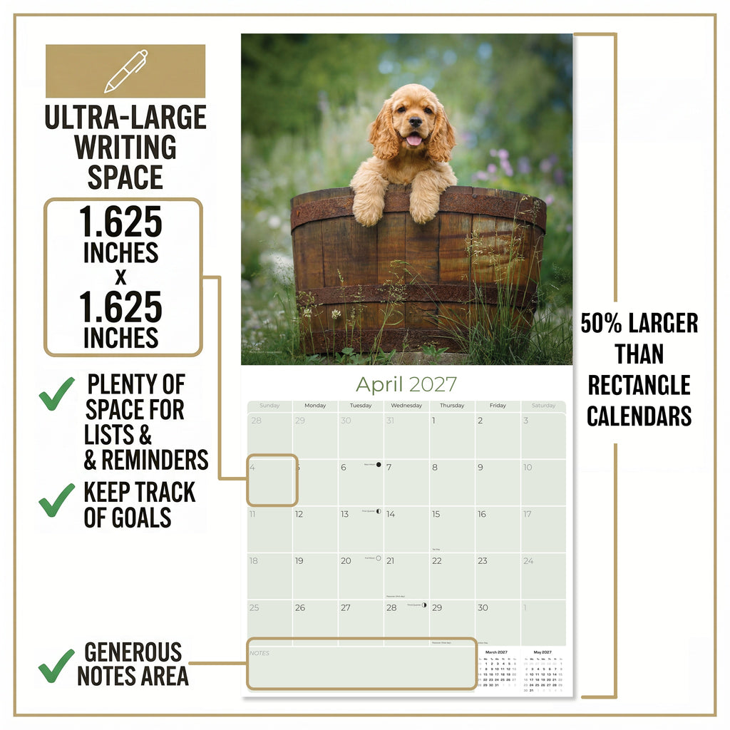 Cocker Spaniel Puppies Wall Calendar 2027 - 12" x 12" Monthly Heartwarming Cocker Spaniel Puppy Breed Art Calendar