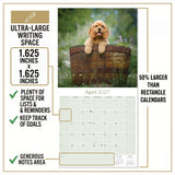 Cocker Spaniel Puppies Wall Calendar 2027 - 12" x 12" Monthly Heartwarming Cocker Spaniel Puppy Breed Art Calendar