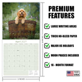 Cocker Spaniel Puppies Wall Calendar 2027 - 12" x 12" Monthly Heartwarming Cocker Spaniel Puppy Breed Art Calendar