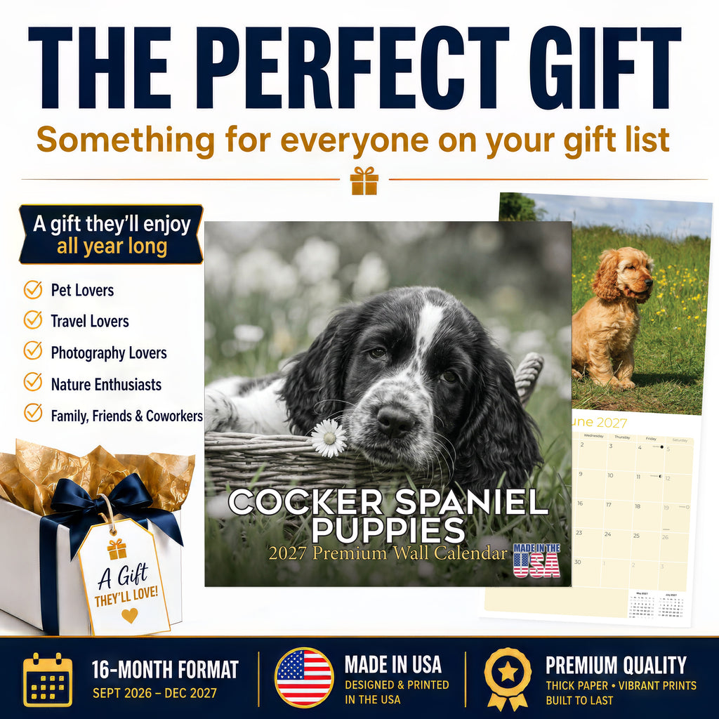 Cocker Spaniel Puppies Wall Calendar 2027 - 12" x 12" Monthly Heartwarming Cocker Spaniel Puppy Breed Art Calendar