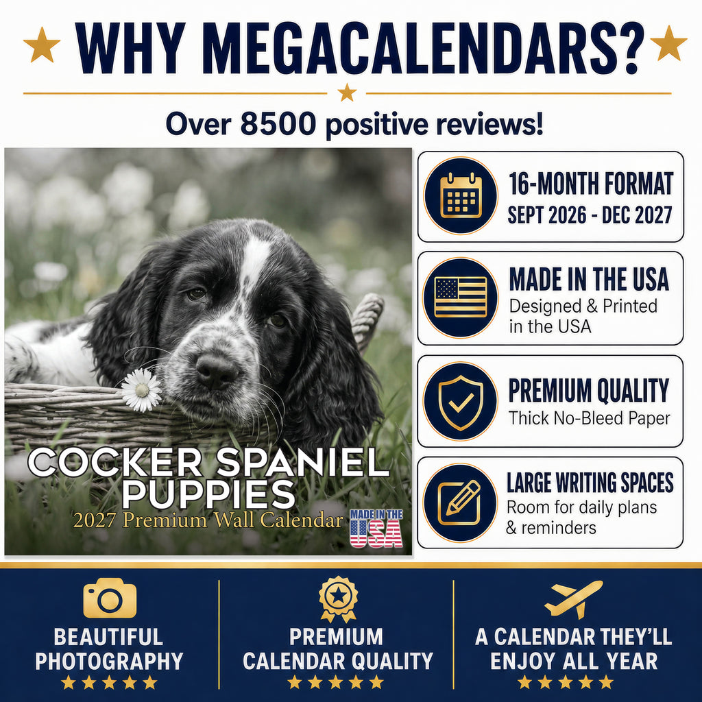 Cocker Spaniel Puppies Wall Calendar 2027 - 12" x 12" Monthly Heartwarming Cocker Spaniel Puppy Breed Art Calendar