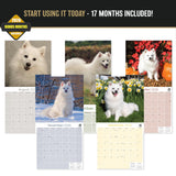 American Eskimo Dog Wall Calendar 2027 - 12" x 12" Monthly Spitz Breed & White Eskie Dog Calendar