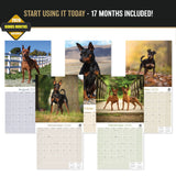 Miniature Pinscher Wall Calendar 2027 - 12" x 12" Monthly Spirited Elegant King of Toys Dog Breed Calendar
