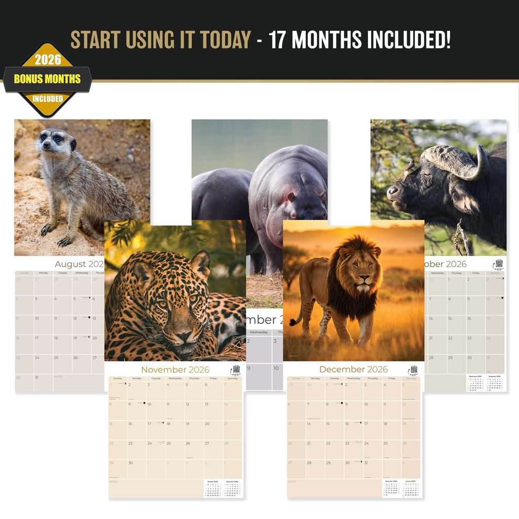 African Wildlife Wall Calendar 2027 - 12" x 12" Monthly Safari & Great Migration Photography Calendar