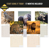 African Wildlife Wall Calendar 2027 - 12" x 12" Monthly Safari & Great Migration Photography Calendar