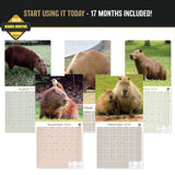 Capybara Wall Calendar 2027 - 12" x 12" Monthly Gentle Social Giant Exotic Rodent Calendar