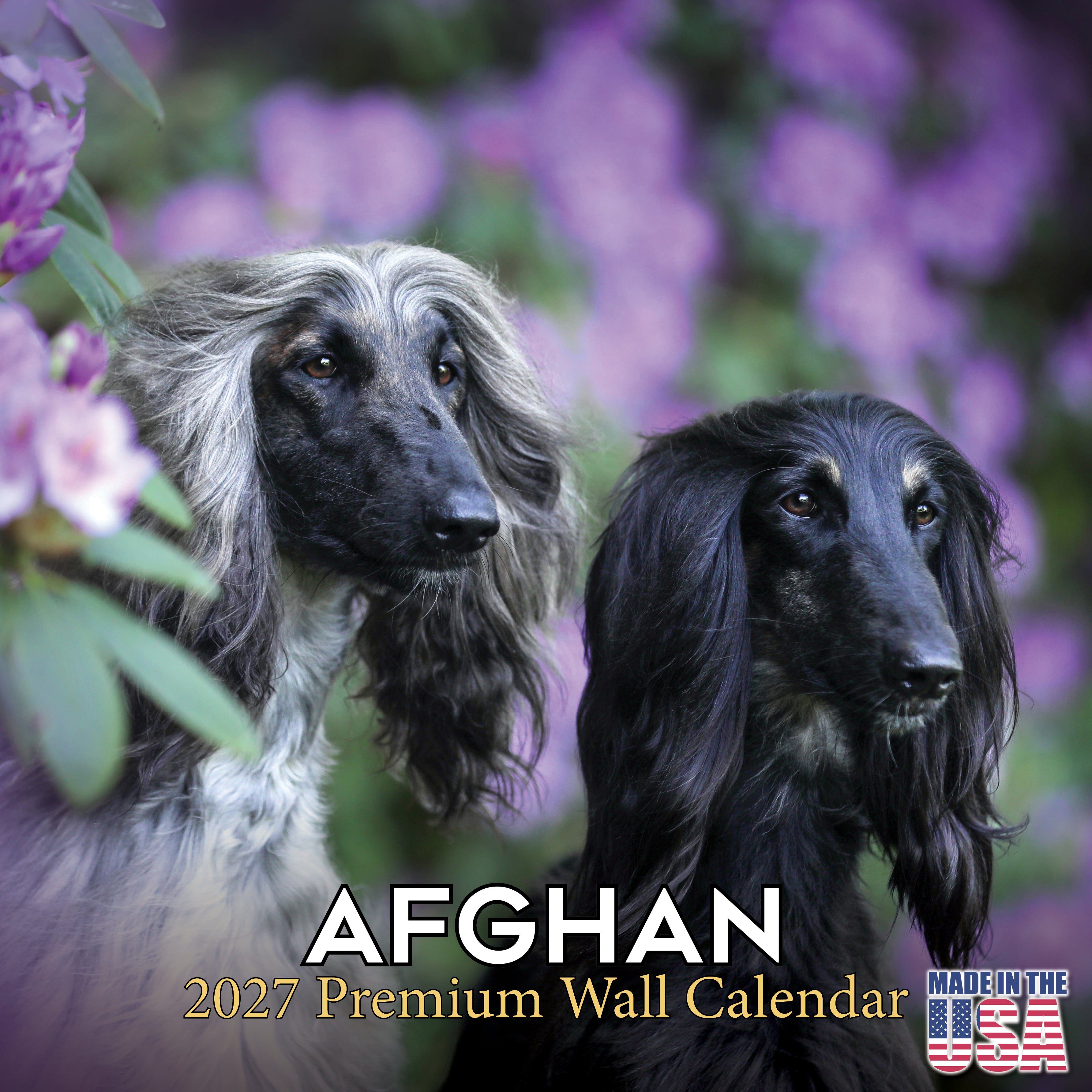 Afghan Hound Wall Calendar 2027 - 12