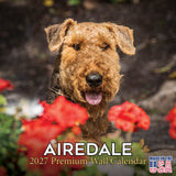 Airedale Terrier Wall Calendar 2027 - 12" x 12" Monthly Terrier Breed & Working Dog Calendar