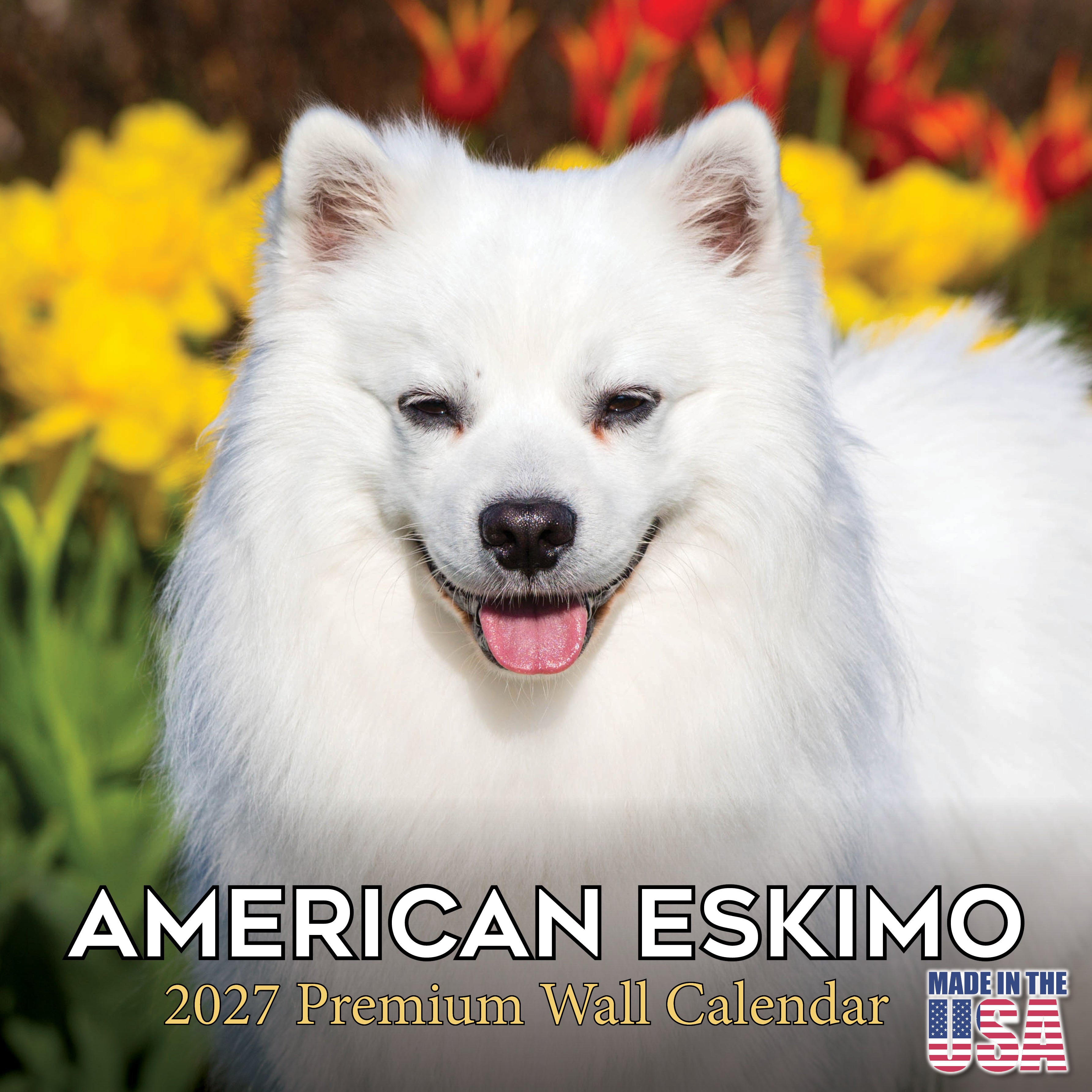 American Eskimo Dog Wall Calendar 2027 - 12