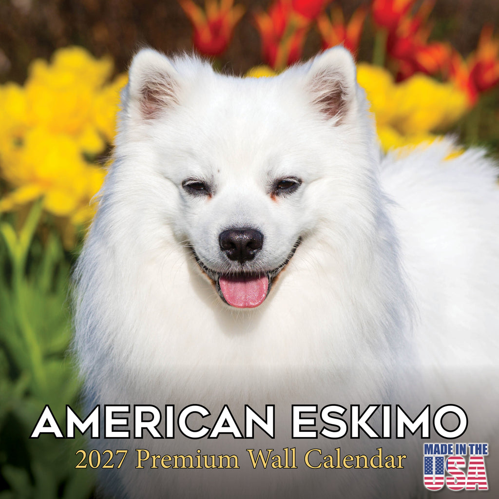 American Eskimo Dog Wall Calendar 2027 - 12" x 12" Monthly Spitz Breed & White Eskie Dog Calendar