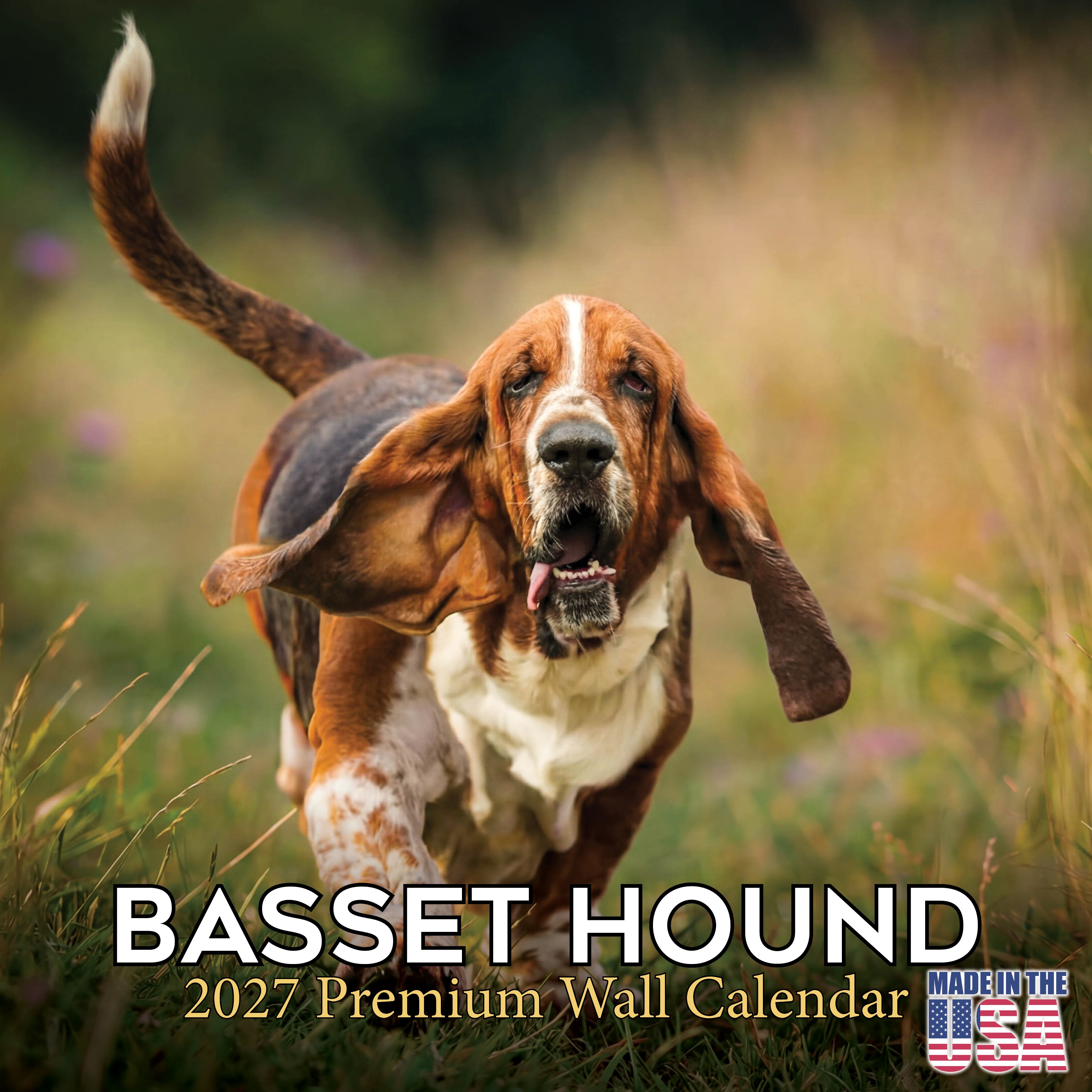 Basset Hound Wall Calendar 2027 - 12