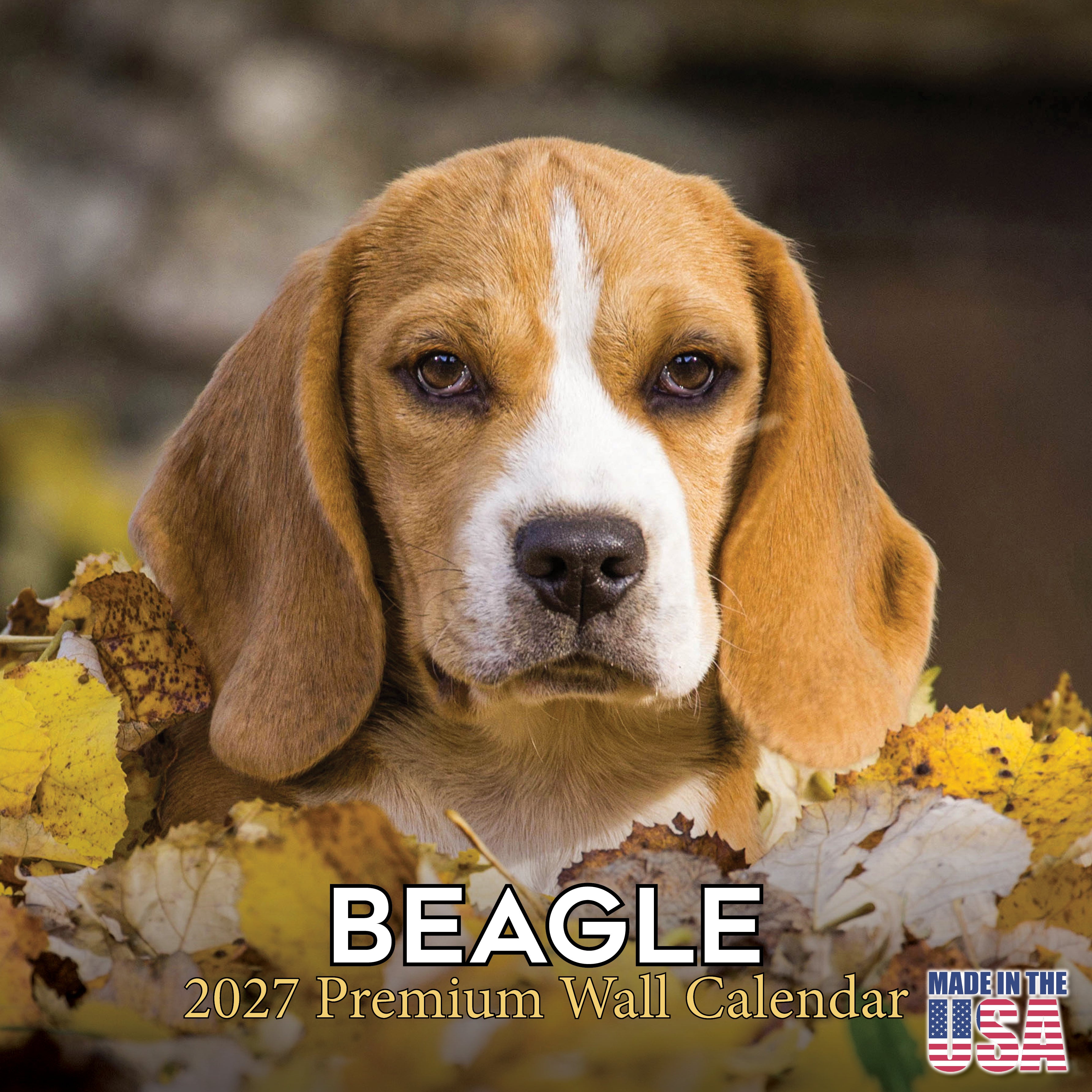 Beagle Wall Calendar 2027 - 12