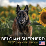 Belgian Shepherd Dog Wall Calendar 2027 - 12" x 12" Monthly Noble & Versatile Herding Working Dog Calendar
