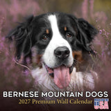 Bernese Mountain Dog Wall Calendar 2027 - 12" x 12" Monthly Gentle Working Alpine Giant Breed Calendar
