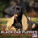 Black Labrador Puppies Wall Calendar 2027 - 12" x 12" Monthly Heartwarming Black Lab Puppy Art Calendar