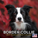 Border Collie Wall Calendar 2027 - 12" x 12" Monthly Brilliant Agile Herding Dog Breed Calendar