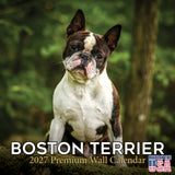 Boston Terrier Wall Calendar 2027 - 12" x 12" Monthly Lively Amusing American Gentleman Calendar