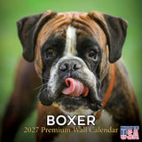 Boxer Wall Calendar 2027 - 12" x 12" Monthly Playful Courageous Athlete Dog Breed Calendar