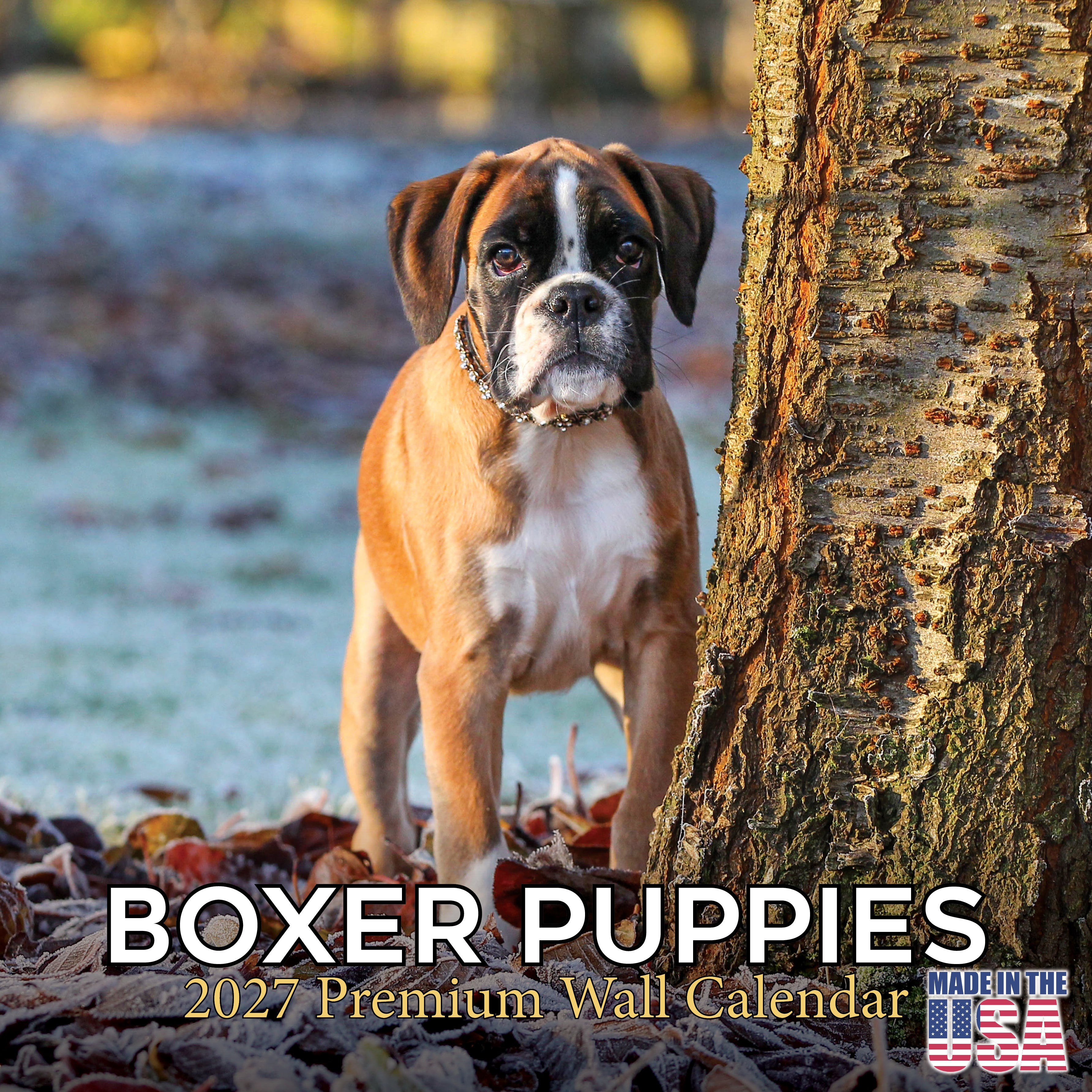 Boxer Puppies Wall Calendar 2027 - 12