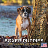 Boxer Puppies Wall Calendar 2027 - 12" x 12" Monthly Adorable Mischievous Boxer Puppy Calendar